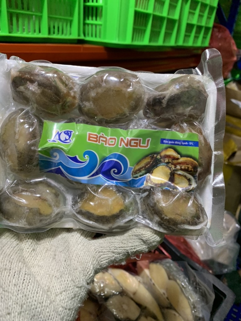 Bào Ngư Hàn Quốc Size 8-10 Con – Túi 500Gr