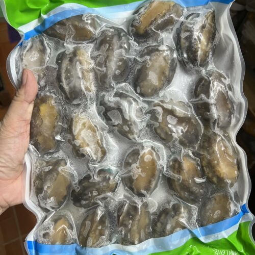 Bào Ngư Y.Fish Túi 1Kg 18-20 Con