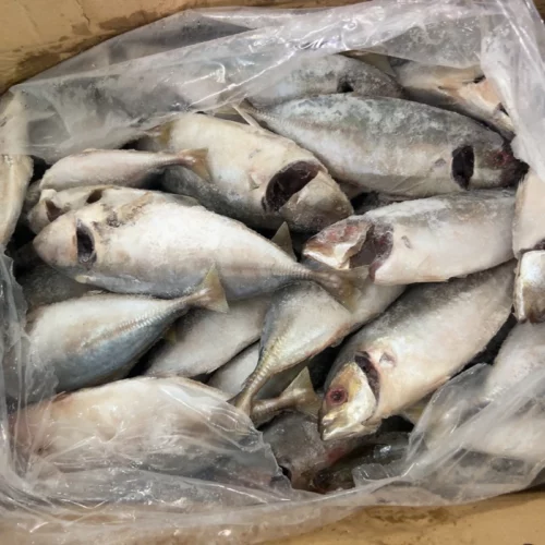 Cá Ngân Tươi Ngon Làm Sạch Cấp Đông