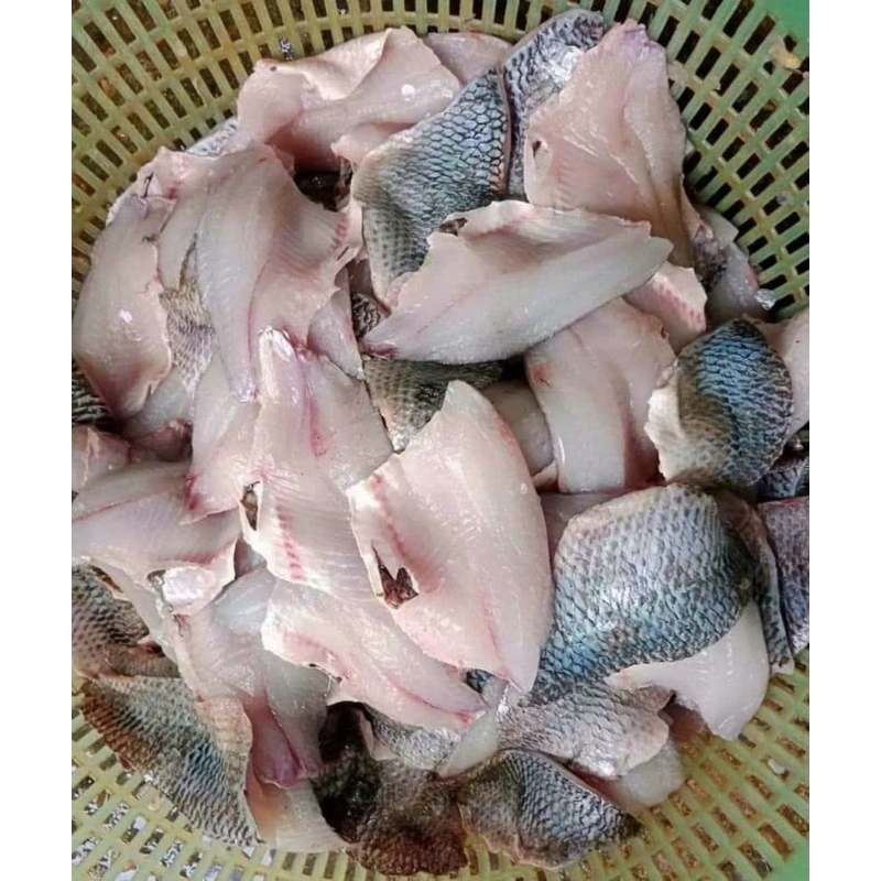 Cá Rô Phi Lọc Xương Phile