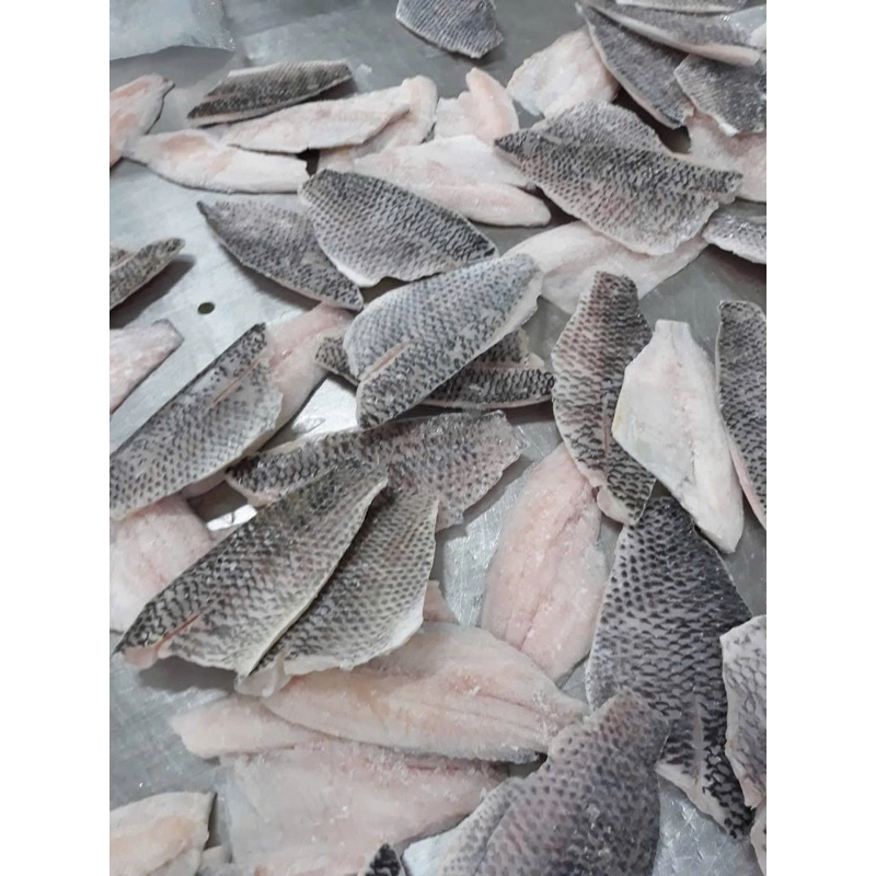 Cá Rô Phi Lọc Xương Phile