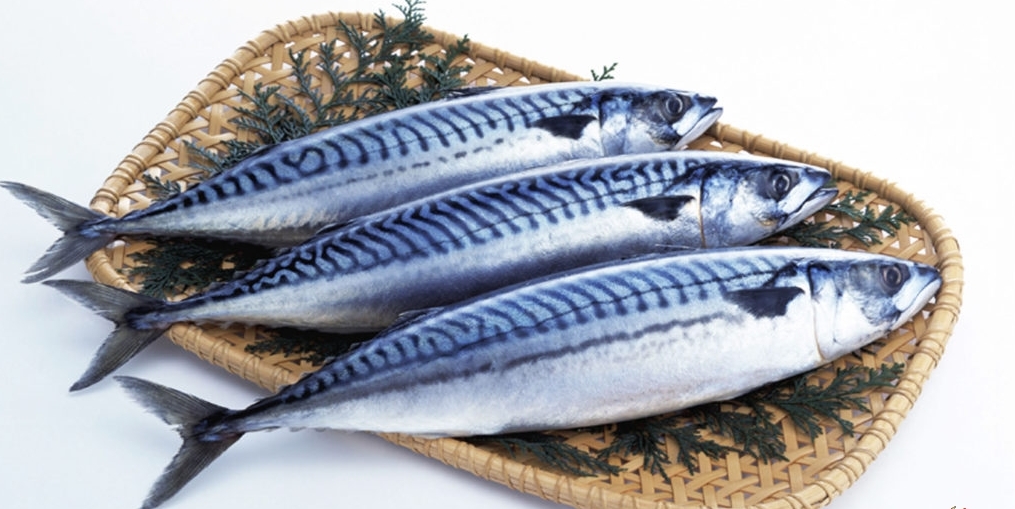 Cá Sapa Nhật Khay 1Kg 