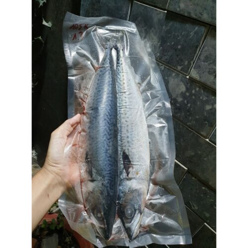 Cá Sapa Nhật Khay 1Kg