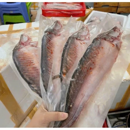 Cá Thác Lác Rút Xương