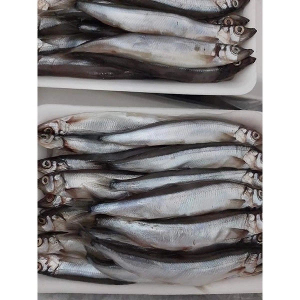 Cá Trứng Nauy 40-50% trứng – Khay 500Gr