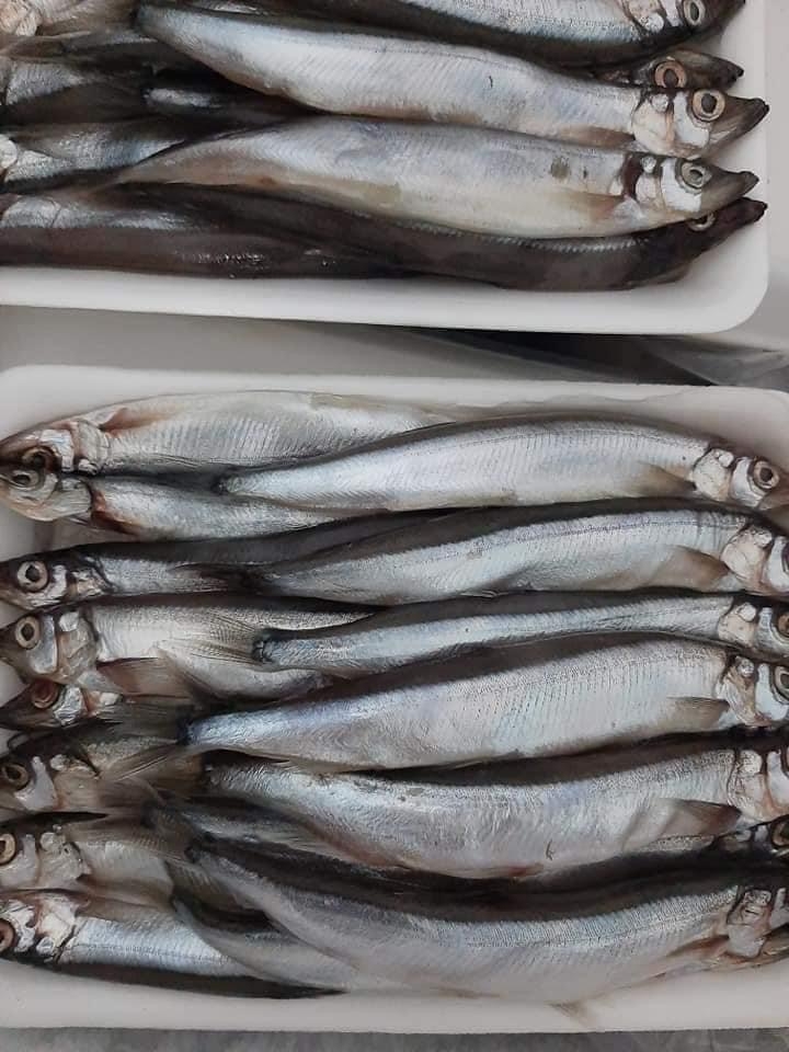 Cá Trứng Vĩ 200Gr