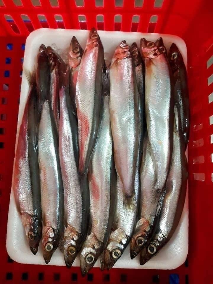 Cá Trứng Vĩ 200Gr