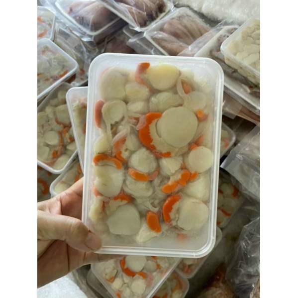 Còi Sò Điệp Việt Nam Hộp – Túi 500Gr
