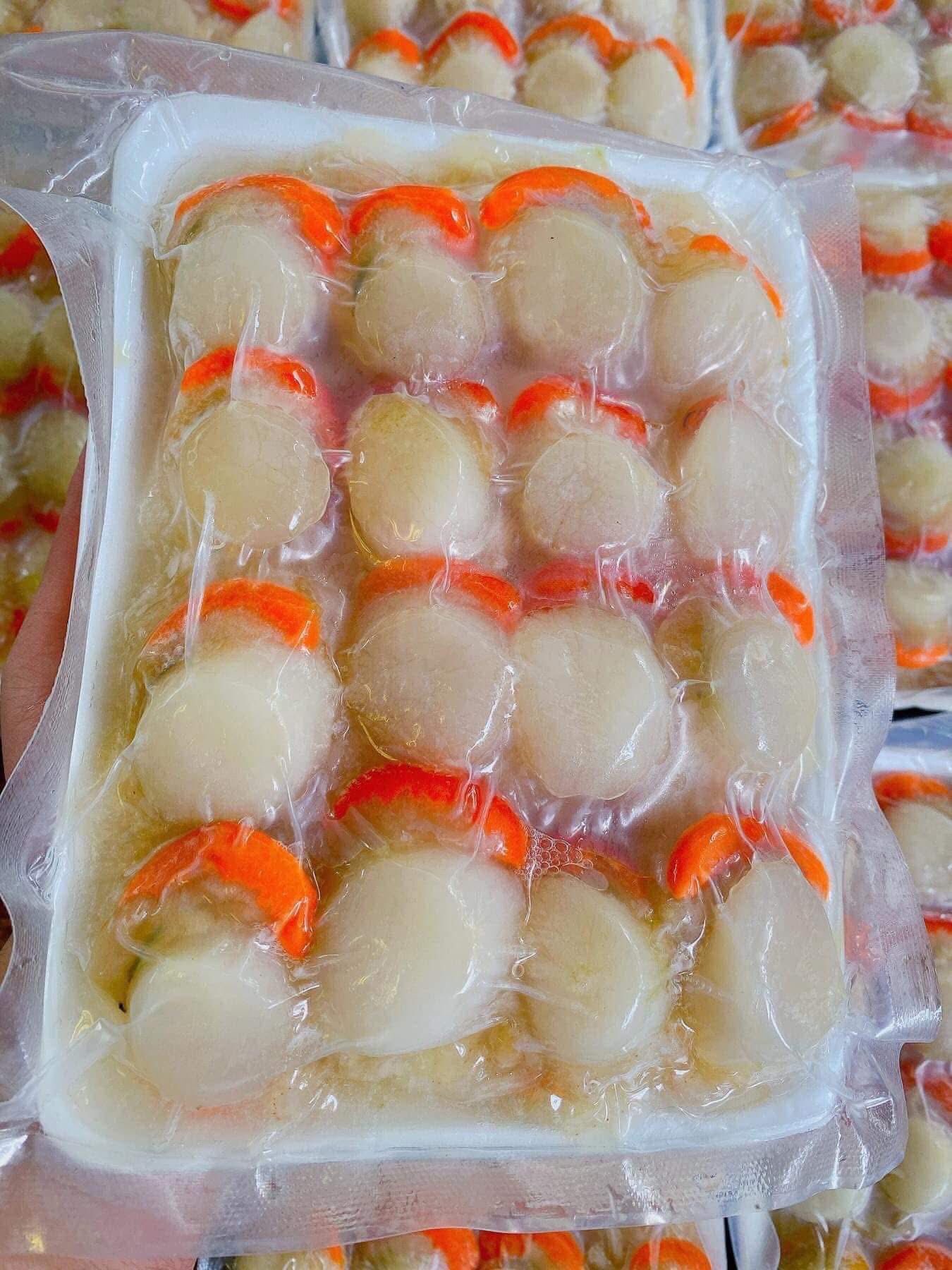 Còi Sò Điệp Việt Nam Hộp – Túi 500Gr