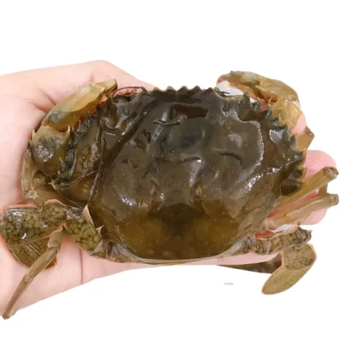 Cua Lột – Túi 500Gr 8-12 Con