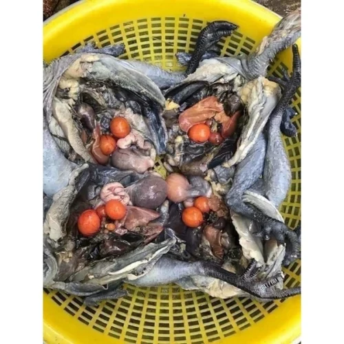 Gà Ác 1 Con 500g - 800g