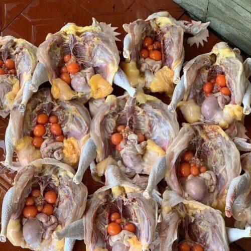 Gà Ôm Trứng Giá Sỉ