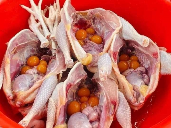 Gà Ôm Trứng Giá Sỉ