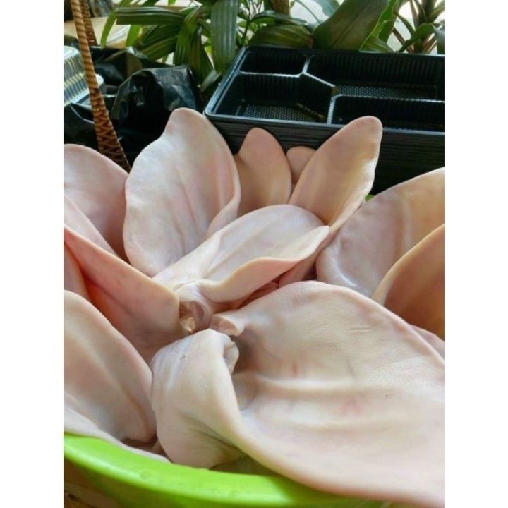 Lổ Tai Heo Tươi Nhập Khẩu – Túi 800g