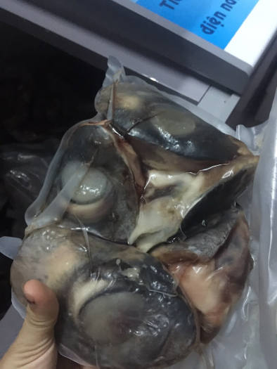 Mắt Cá Ngừ Đại Dương Khay 1Kg