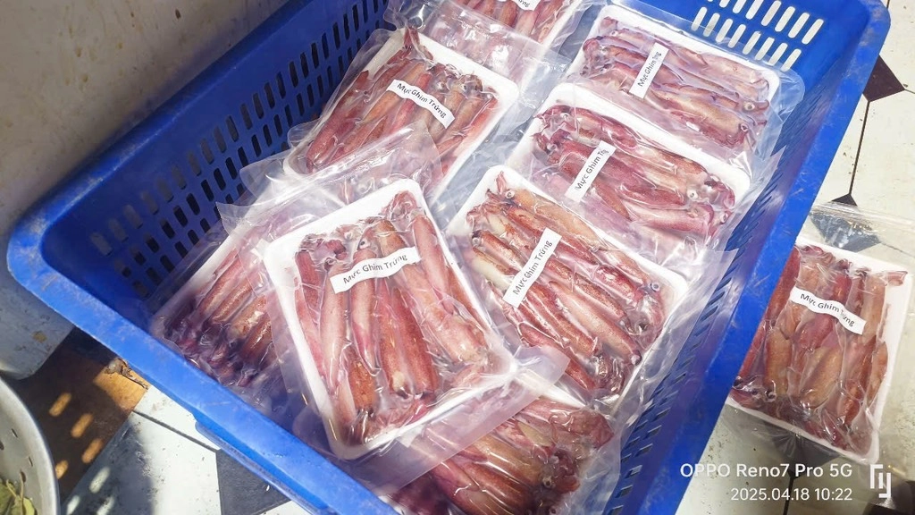 Mực Ghim Trứng - 1kg 