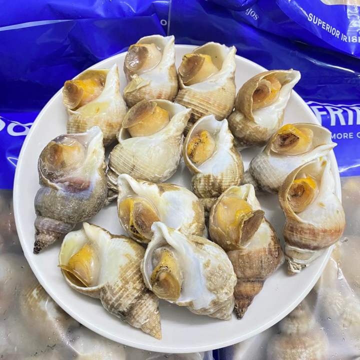 Ốc Bulot 500g