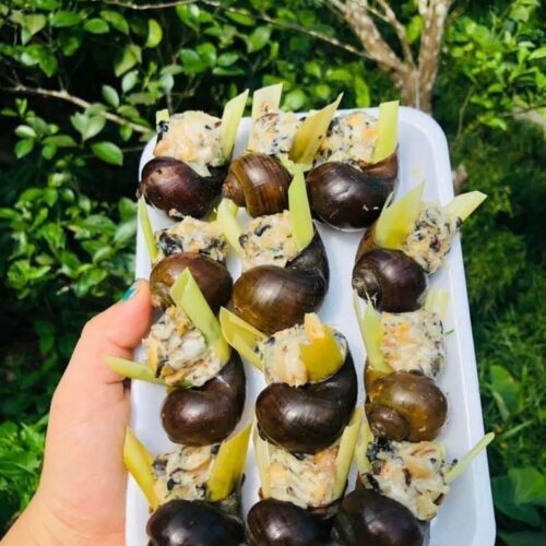 Ốc Nhồi Thịt Khay 12 Con