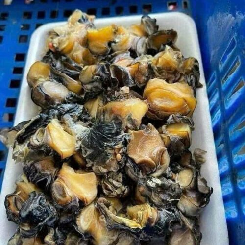 Ruột Ốc Bưu Làm Sạch – Hộp 1Kg