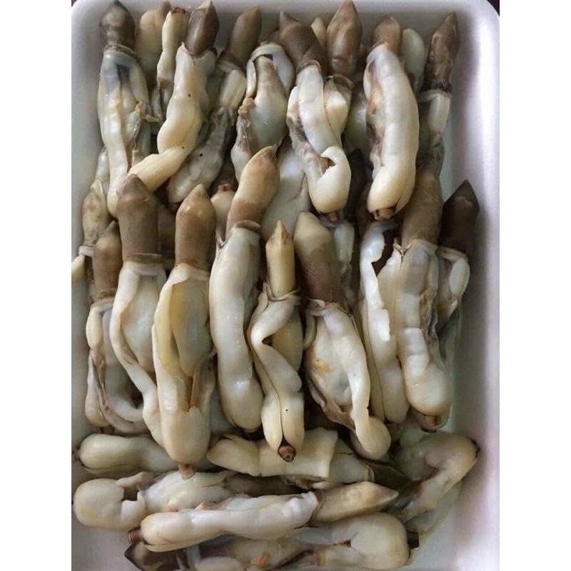 Ruột Ốc Móng Tay Loại 1 - 1Kg