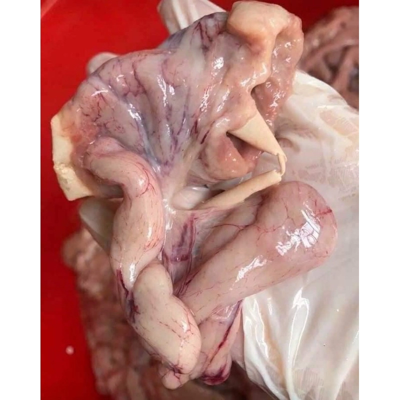 Tràng Gà (Dồi Trường Gà) - 1Kg