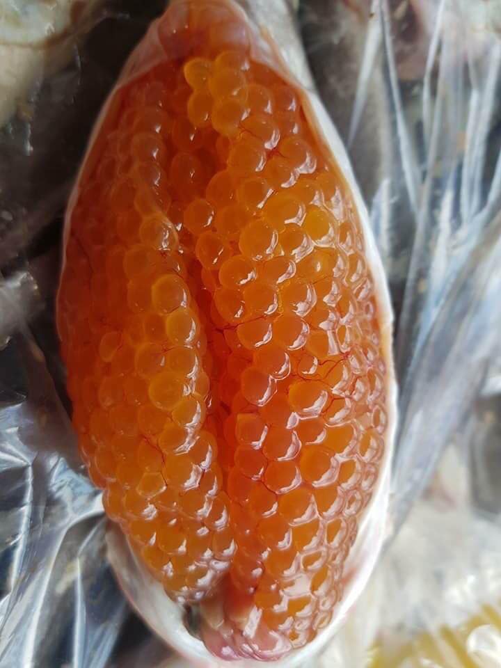 Trứng Cá Ngát Khay 500Gr