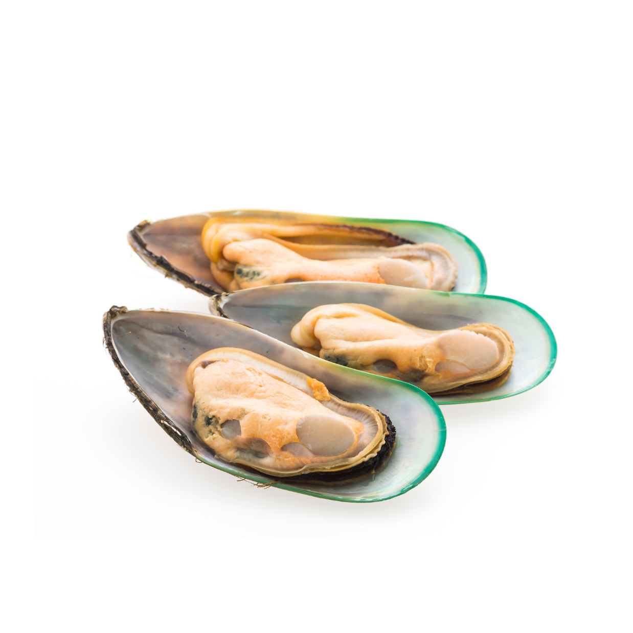 Vẹm Xanh Nửa Vỏ NewZealand Túi 1Kg 1