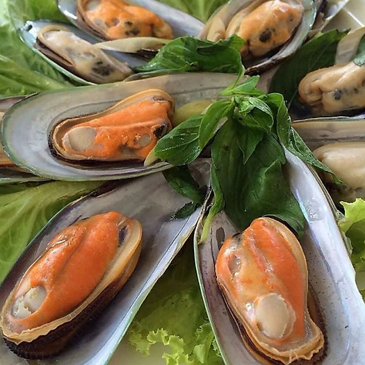 Vẹm Xanh Nửa Vỏ NewZealand Túi 1Kg