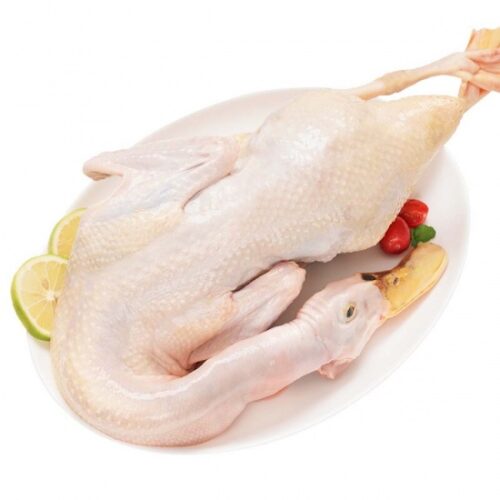 Vịt Tươi Làm Rồi Giá Sỉ