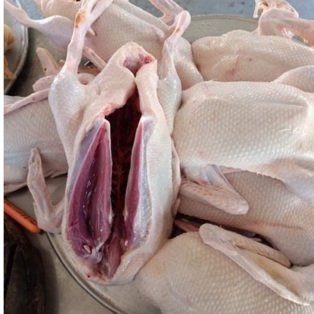 Vịt Tươi Làm Rồi Giá Sỉ