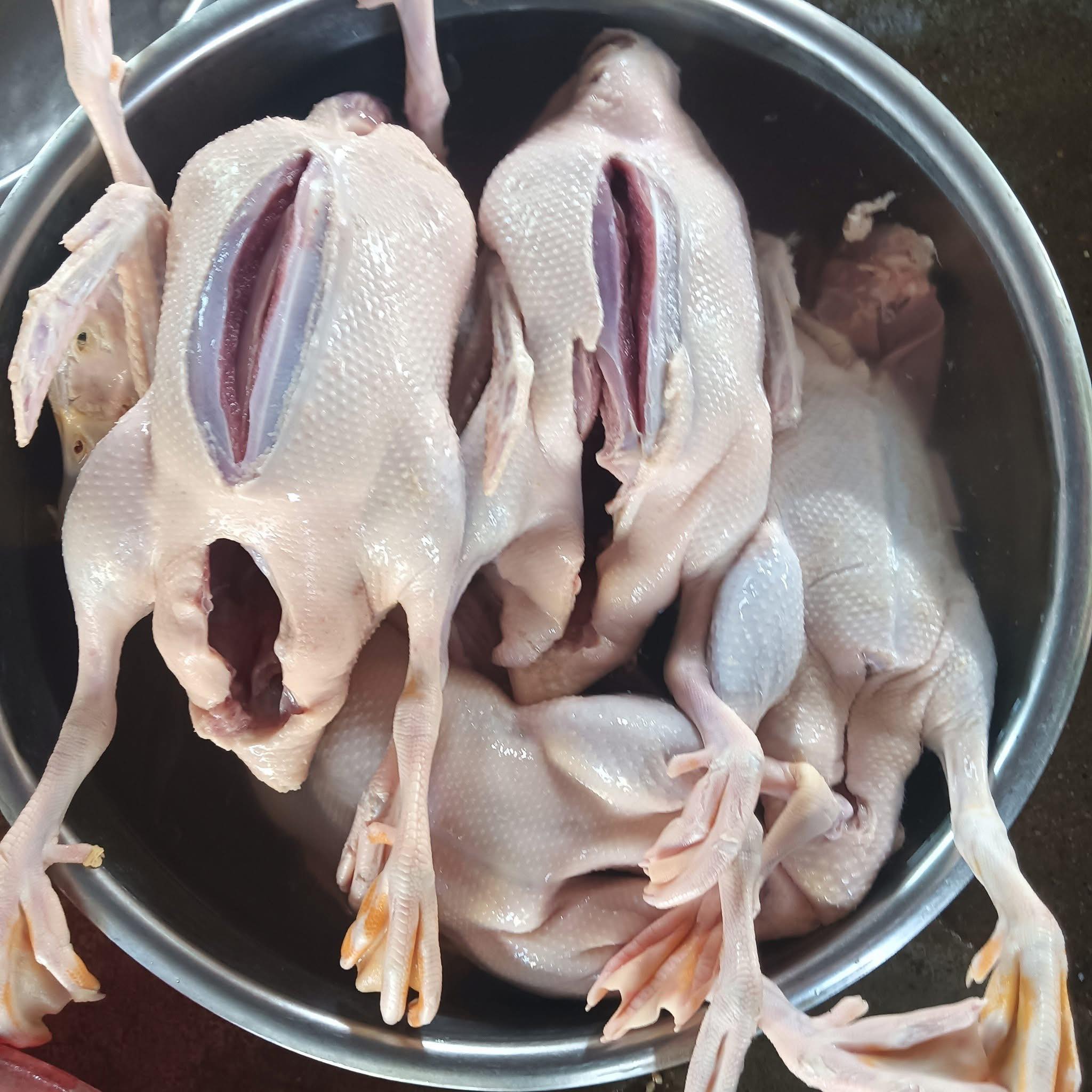 Vịt Tươi Làm Rồi Giá Sỉ