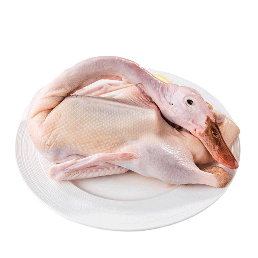 Vịt Tươi Nguyên Con Cấp Đông