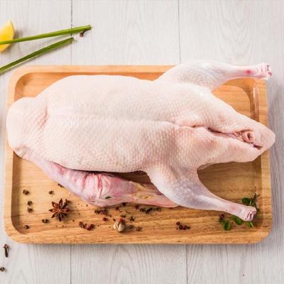 Vịt Tươi Nguyên Con Cấp Đông