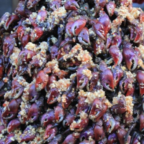 Ba Khía Nhà Làm – Hủ 500g Luôn Nước 700g Ngon Chuẩn Vị Miền Tây