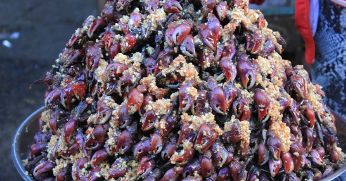 Bí Quyết Chọn Ba Khía Nhà Làm Ngon Chuẩn Vị: Hướng Dẫn Chi Tiết Từ Chuyên Gia