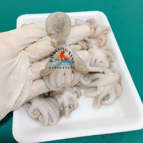 Bạch Tuộc Sữa Baby - Khay 500G: Mua Ở Đâu? Giá Rẻ, Tươi Ngon!