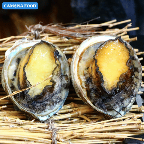 Bào Ngư Hàn Quốc Size 810 Con: Giới thiệu và Nguồn gốc Xuất xứ