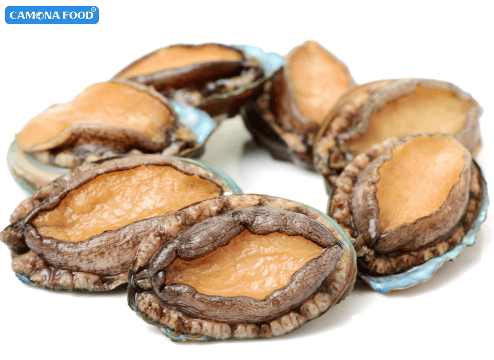 Phân Biệt Bào Ngư Hàn Quốc Size 810 Con Thật Giả và Cách Chọn Mua Chất Lượng