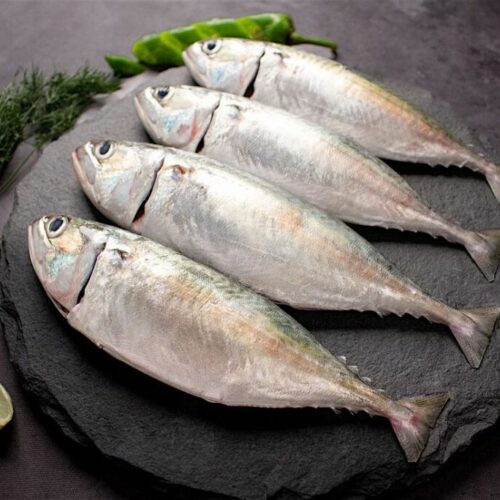 Cá Bạc Má Tươi Ngon Làm Sạch Cấp Đông – Khay 1Kg: Mua Ở Đâu, Giá Tốt?