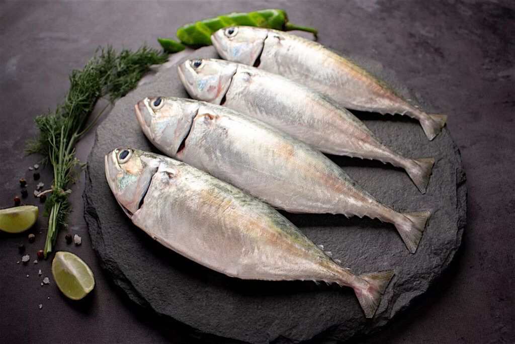 Giá Trị Dinh Dưỡng Tuyệt Vời Từ Cá Bạc Má Tươi Ngon.