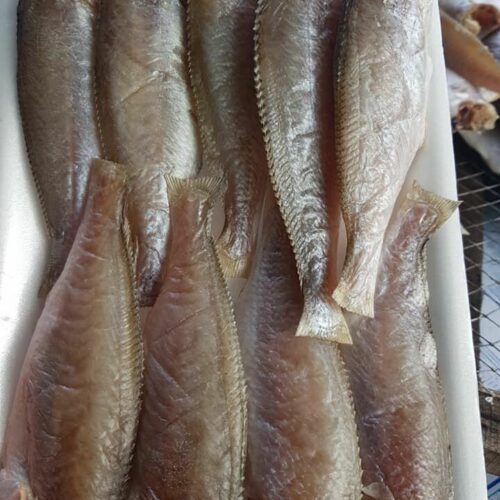 Cá Đù 1 Nắng Lạc Vừa Ăn Vĩ 500Gr/10-12 Con: Món Ngon Đặc Sản Miền Biển, Giá Tốt