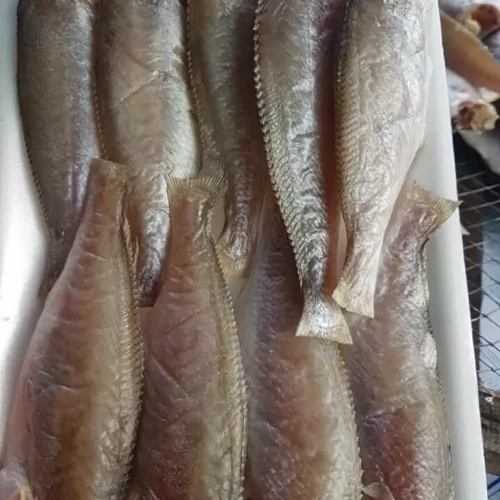 Cá Đù 1 Nắng Xẻ - 1Kg Ngon Chuẩn Vị Biển, Giá Tốt Nhất!