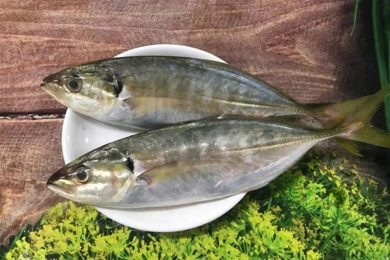 Cá Ngân Tươi Ngon Cấp Đông: Sự Lựa Chọn Hoàn Hảo Cho Bữa Ăn Gia Đình