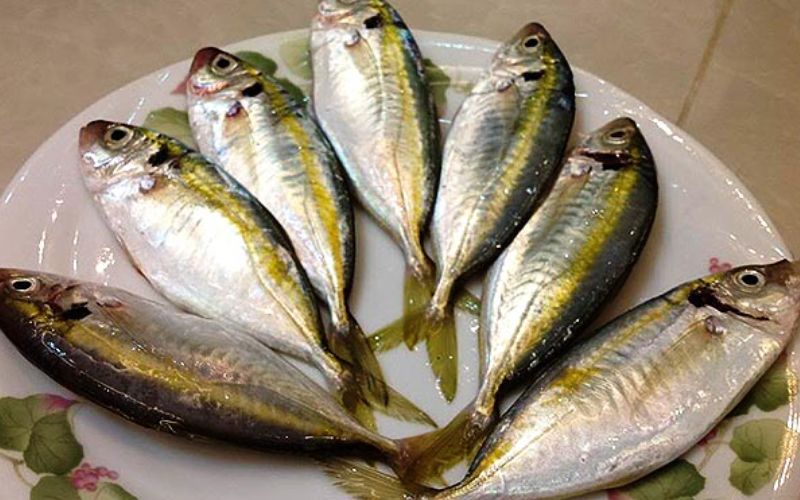 Bí Quyết Chọn Cá Ngân Tươi Ngon, Chất Lượng (Kèm Hình Ảnh Minh Họa)