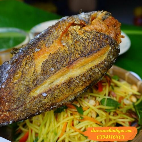 Cá Sặc Trứng Một Nắng-Túi 500Gr: Đặc Sản Miền Tây, Giá Tốt, An Toàn Vệ Sinh