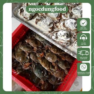 Cua Lột 500Gr (812 Con): Đặc Điểm, Giá Trị Dinh Dưỡng & Cam Kết Chất Lượng