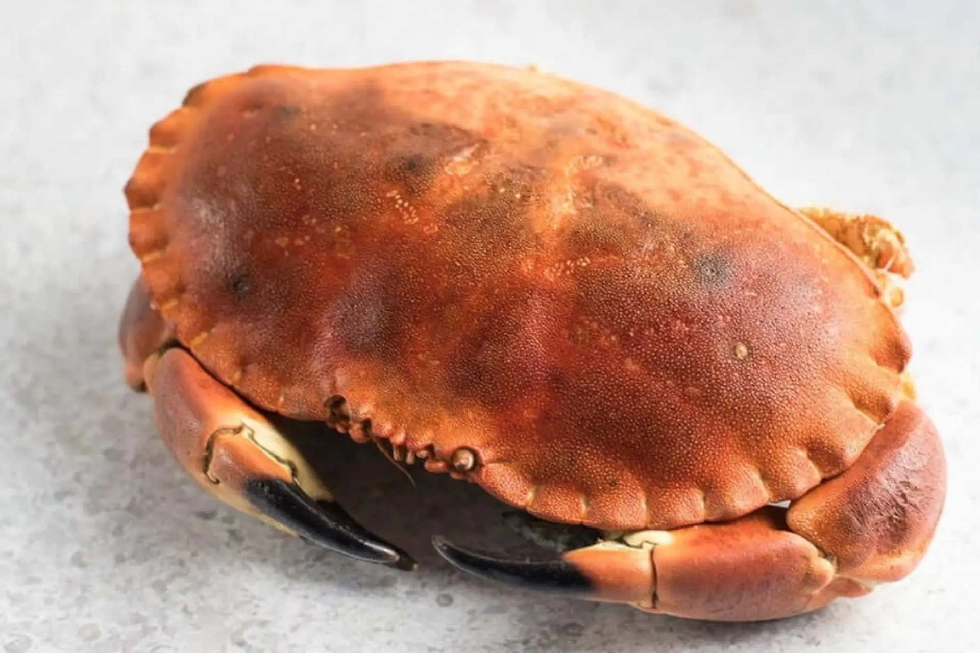 Phân Biệt Cua Nâu Nauy Chất Lượng: Bí Quyết Chọn Cua Ngon, Thịt Chắc