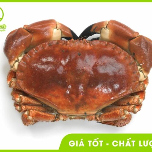 Cua Nâu Nauy Bao Ăn – 900g – 1Kg Giá Tốt, Nhập Khẩu, Đảm Bảo Chất Lượng