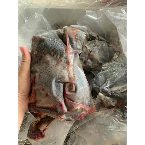 Bí Quyết Chọn Mua Gà Ác 1 Con 500g800g Tươi Ngon, Đảm Bảo Chất Lượng: Nhận Biết Gà Ác Chuẩn