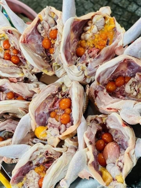 Gà Ôm Trứng Giá Sỉ: Nguồn Hàng Uy Tín và Bảng Giá Cập Nhật 2024